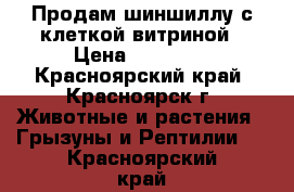 Продам шиншиллу с клеткой-витриной › Цена ­ 10 000 - Красноярский край, Красноярск г. Животные и растения » Грызуны и Рептилии   . Красноярский край